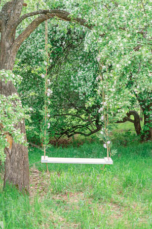 Empty wooden swing on ropes in a blooming apple orchardの写真素材