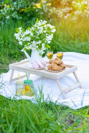 Making a picnic during a date in the parkの写真素材