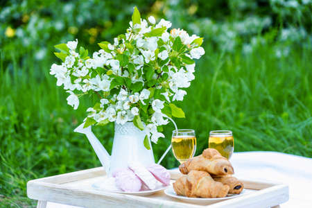 Design of a picnic area during a romantic date in the parkの写真素材