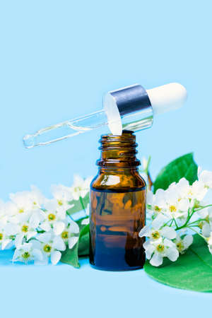 cherry essential oil in a bottle with a pipette, a branch with blooming flowers on a blue backgroundの写真素材