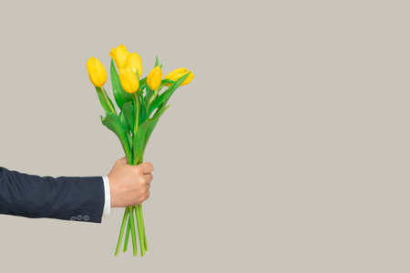 A man's hand stretches forward a bouquet of flowers of yellow tulips on a gray backgroundの写真素材