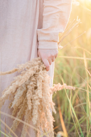 A woman holds in her hand a bunch of golden ears of meadow grasses. close-up.の写真素材