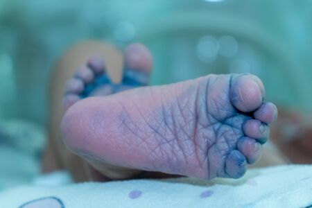 Newborn baby feet with blue ink for Footprint. close up. selective focus.の写真素材