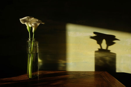 white calla in a glass vaseの写真素材