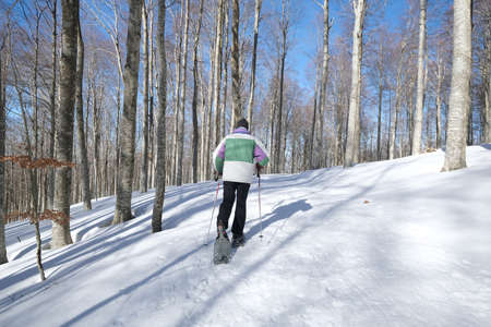 Snowshoeing man in the snow with shoe equipment for outdoor walking in forest trail. Mount Amiata, Tuscany, Italyのeditorial素材