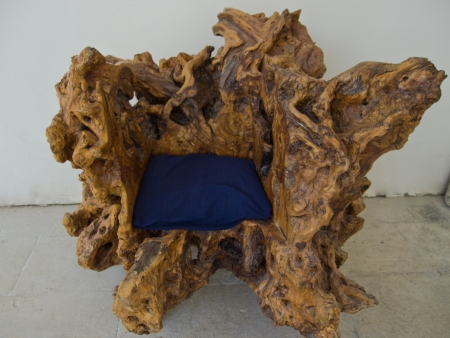 chair made from tree rootの写真素材