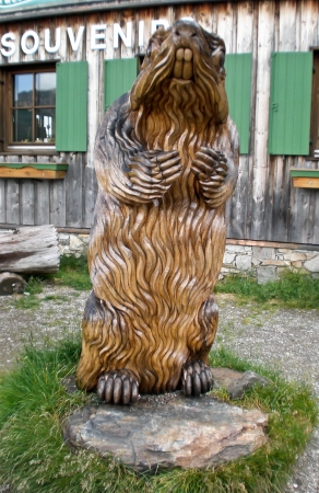 large wooden sculpture of marmot,n the garden of the gift shop on Großglocknerstraßeのeditorial素材