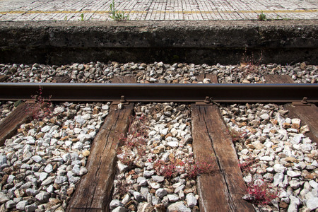 Train track with platform and red grass on themの写真素材