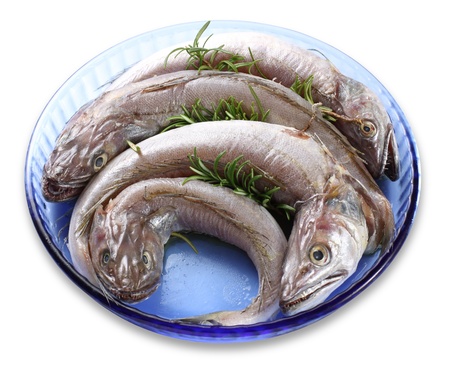 Fish dish with raw cod on whiteの写真素材