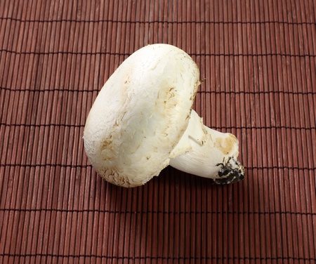 Fresh mushroom on wooden tableの写真素材