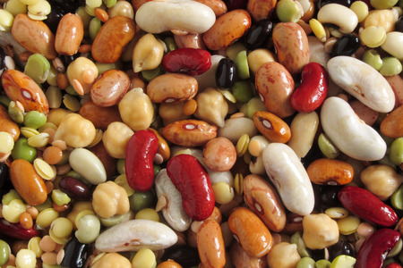 legumes backgroundの写真素材