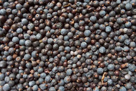 Juniper berries textureの写真素材