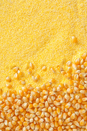 minced and natural cornの写真素材