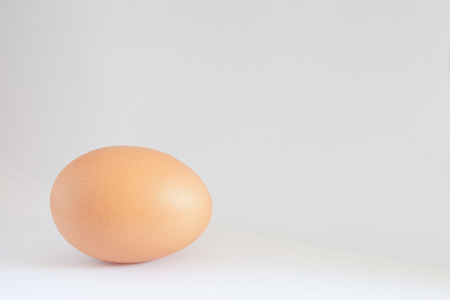 Aerodynamics and eggの写真素材