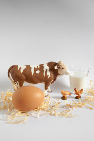 Natural food from the farmの写真素材