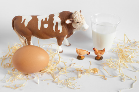 Natural food from the farmの写真素材