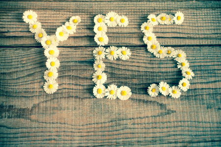 Yes wrote with daisies on wooden backgroundの写真素材