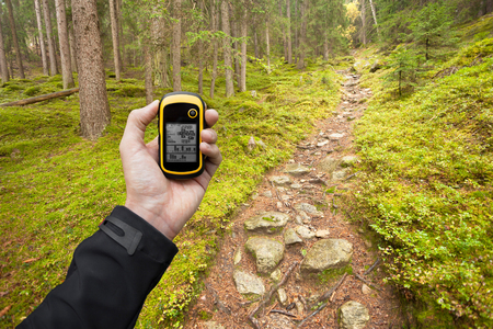 finding the right position in the forest via gpsの写真素材