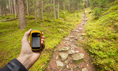finding the right position in the forest via gpsの写真素材