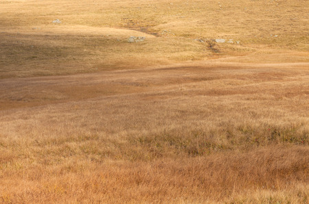 autumnal view from an alpine meadow in Dolomitesの写真素材