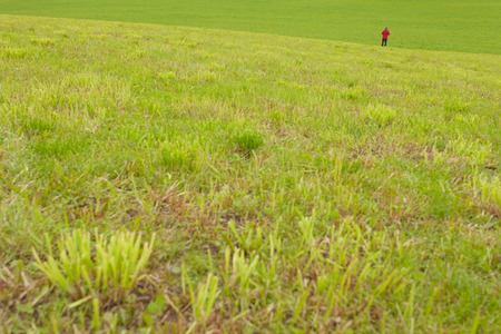 A man is walking alone in a wide green mountain pastureの写真素材