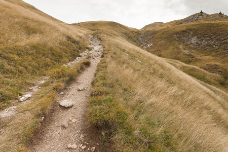 walking long a mountain path in Valle di Funes into the Italian Dolomitesの写真素材