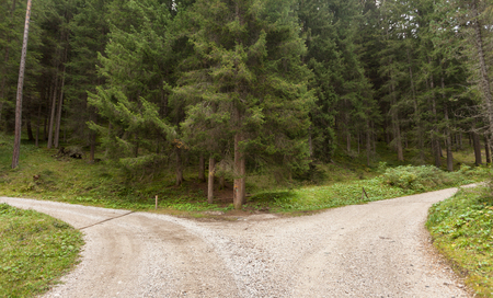 A single mountain road splits in two different directions. It's an autumnal cloudy day.の写真素材