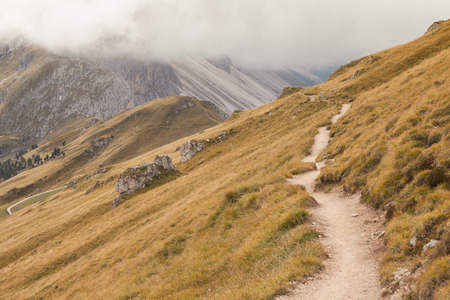 A path long an alpine pasture in the Italian Dolomites in autumnの写真素材