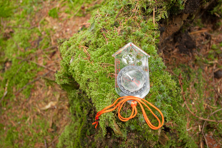 finding the right position in the forest with a kompassの写真素材