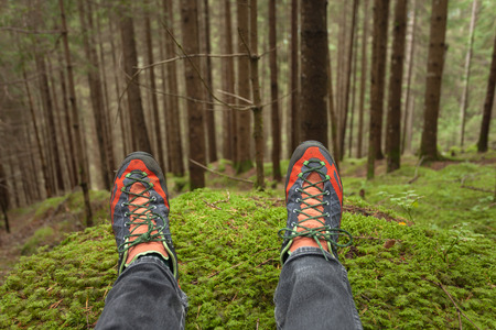 relaxing inside a deep woodsの写真素材