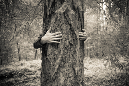 a boy hugging a tree in the woodsの写真素材
