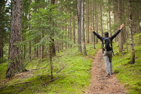 walking in the woods long a pathの写真素材