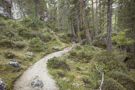 walking long a peaceful mountain path in Valle di Funes into the Italian Dolomites