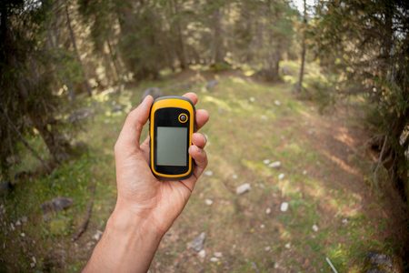 a trekker using a gps inside the forestの写真素材