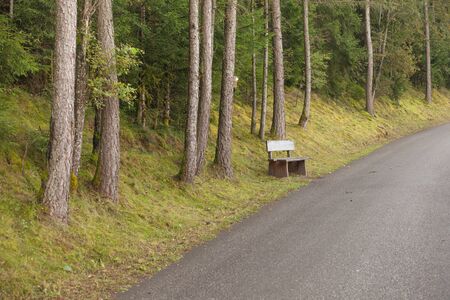 wooden bench inside a forest, no people aroundの写真素材