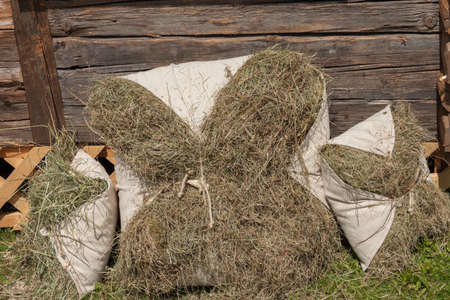 Rural scene during hay harvest in Val Gardena in Dolomitesの写真素材