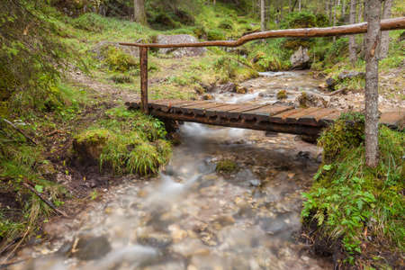 A mountain stream flows in the misty forestの写真素材