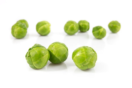 Brussels sprout isolated on white background. Still-life picture of green cabbages taken in studio with soft-box.の写真素材