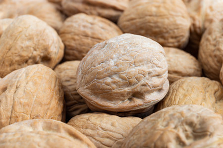 Bunch of walnuts. Close-up picture of many dried fruits.の写真素材