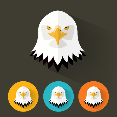 Animal Portrait with Flat Design / Bald Eagle / Vector Illustrationのイラスト素材