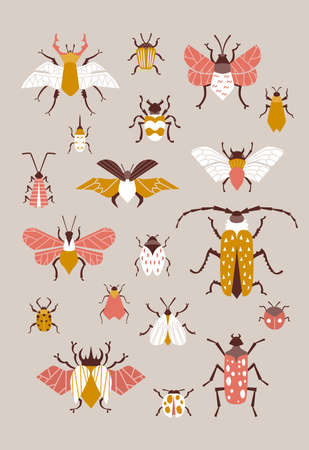 Cute beetles vector poster for room decoration.のイラスト素材