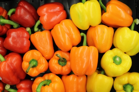 assorted bell peppersの写真素材