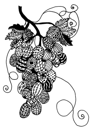 Black and white illustration of decorative grapesのイラスト素材