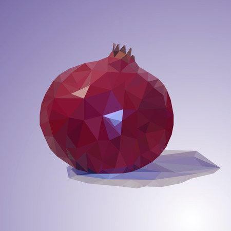 Illustration of a pomegranate on a lilac backgroundのイラスト素材