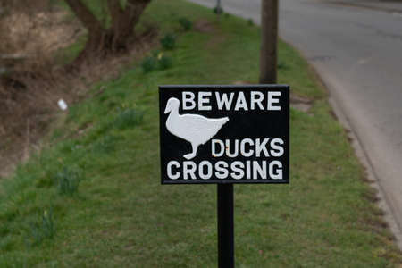 A sign warning people that ducks are crossing.の写真素材