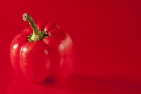 red pepper on red wallの写真素材