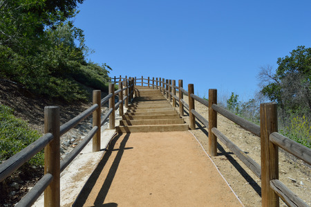 Wooden Stairs Up Hillside