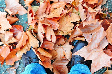 Dried leaves around shoes