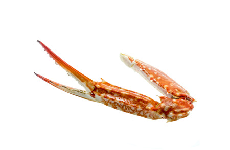 Boiled horse crab isolated on white backgroundの写真素材