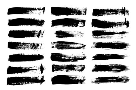 Set of vector paint brush strokesのイラスト素材